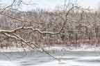 winter on Spring Lake in Swartswood State Park